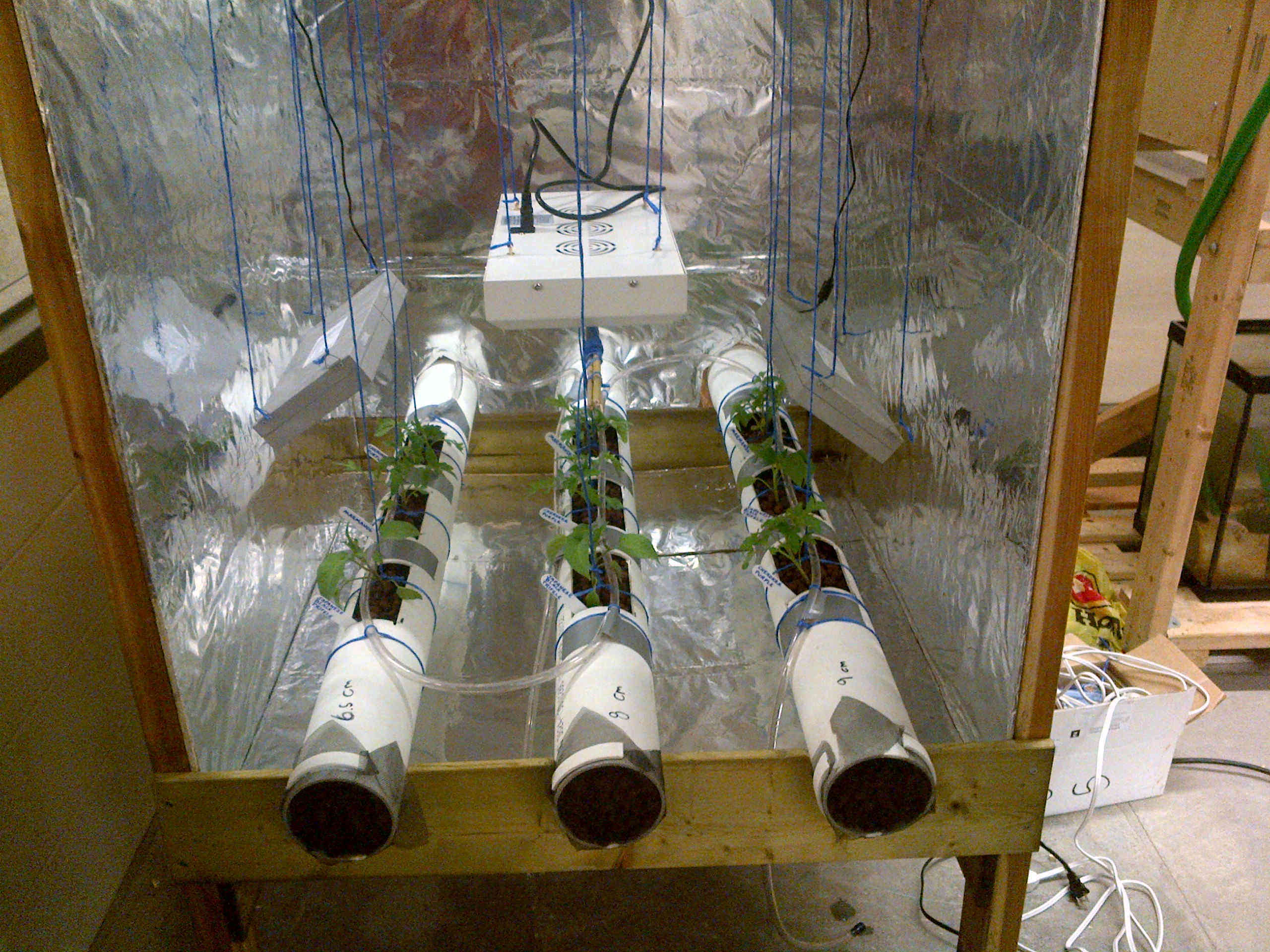 Fig 2: hydroponic system - day 1 (lights off).