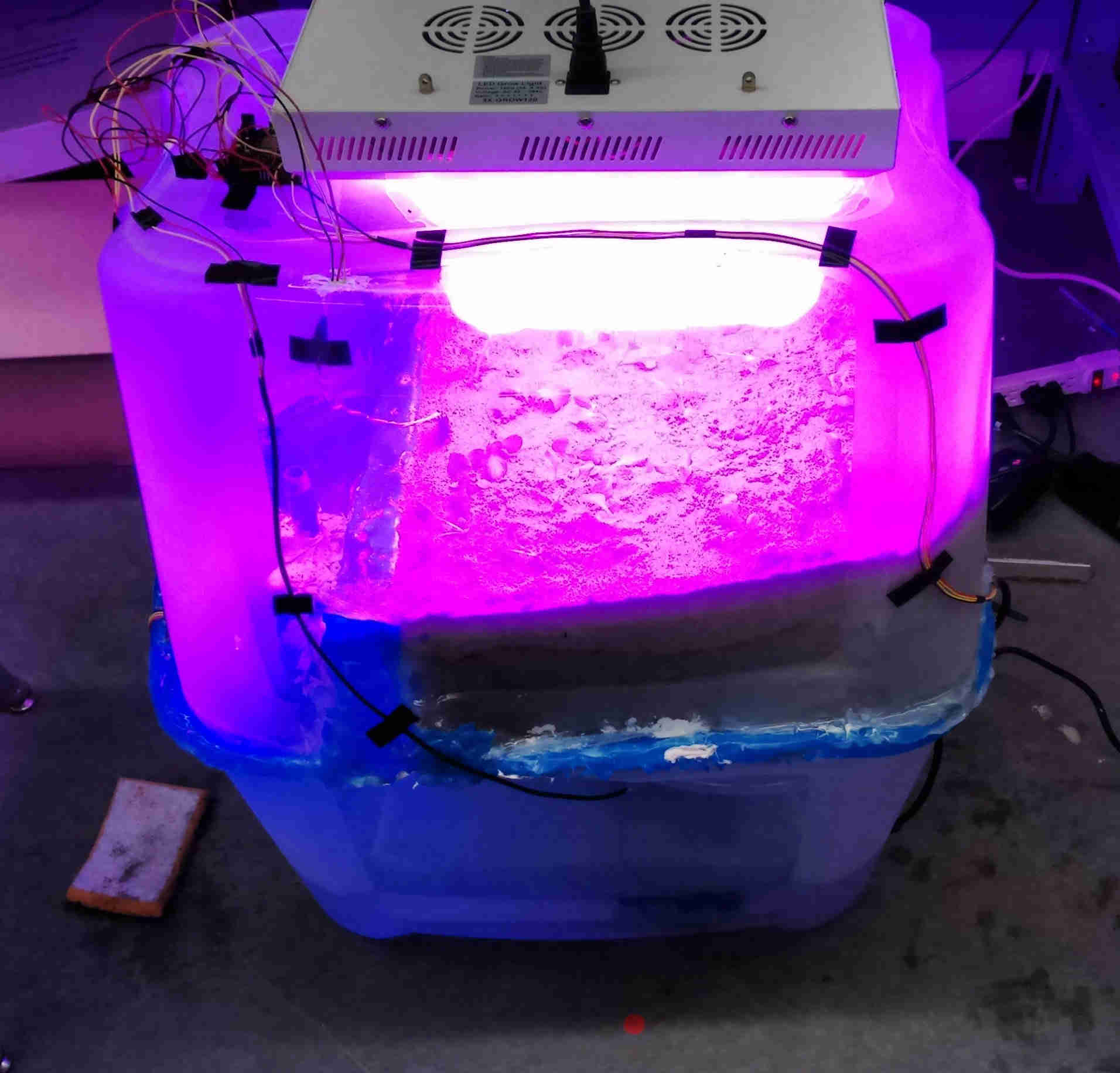 Fig 1: Experimental mars hydroponic system