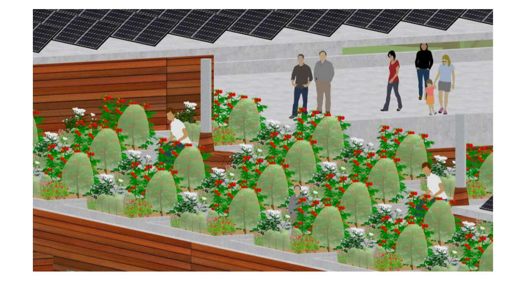 Fig 3: 
Roof top garden and pavillions