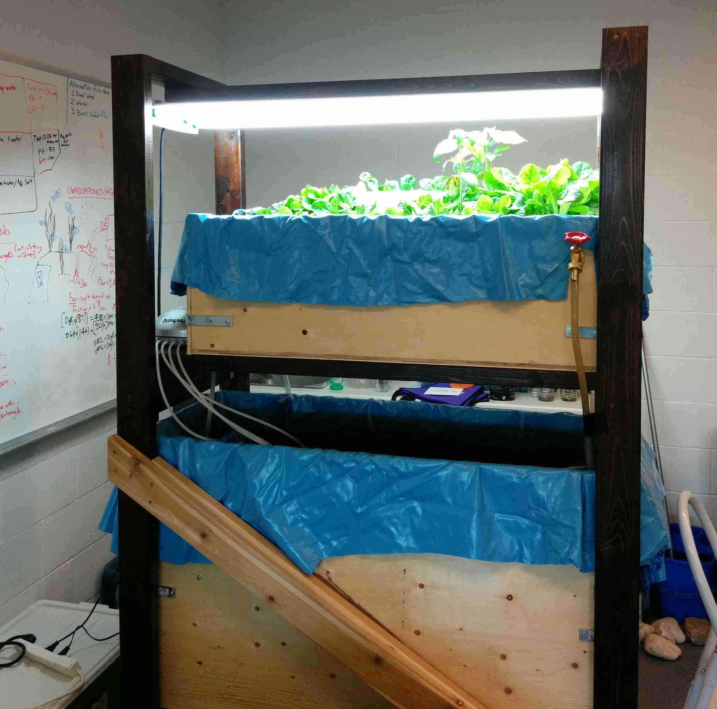 Fig 3: Aquaponic system 2 in 2016.